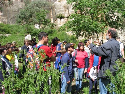 Explicació al peu de l'agulla.