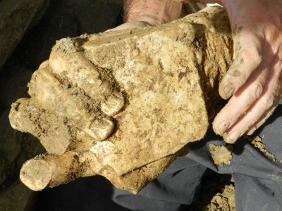 Fragment d’escultura d'una mà.
