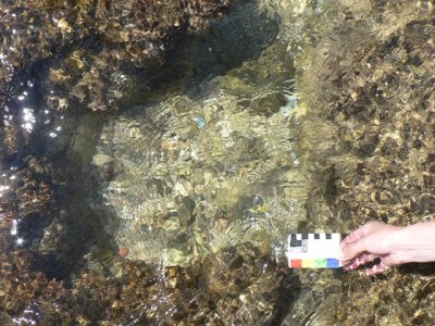 Un dels encaixos quadrangulars, possibles punts d’ancoratge d’enginys mecànics com grues.