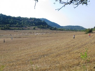 Prospectant a l’Espluga de Francolí.