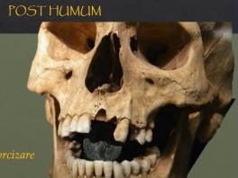 Seminari sobre pràctiques funeràries i escatologia en època romana