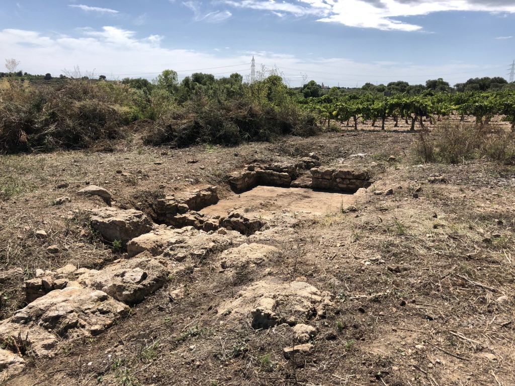 Vista parcial del jaciment de Mas dels Frares, 2019. Foto: ICAC
