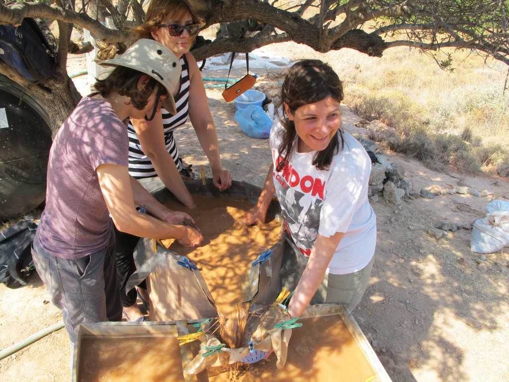 Archaeological works in Palaikastros, 2019 (@ A. Livarda)