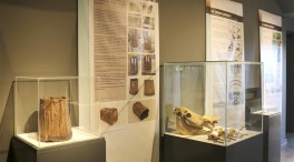 Un tresor submergit_Laura Puig