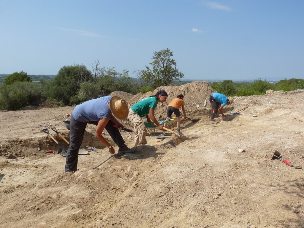 Costa de la Serra, campanya 2019. Voluntaris delimitant el nou mur ubicat paral·lelament al llenç sud de la muralla (© ICAC).