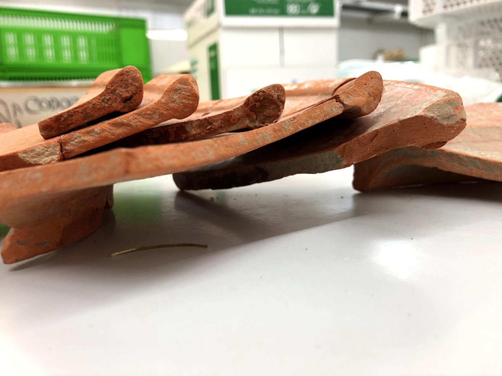 Perfils de plàteres de vaixella fina de taula trobades al suburbi occidental de Tarracona. Terra sigillata africana D (Hayes105). Foto: Francesc Rodríguez (ICAC).