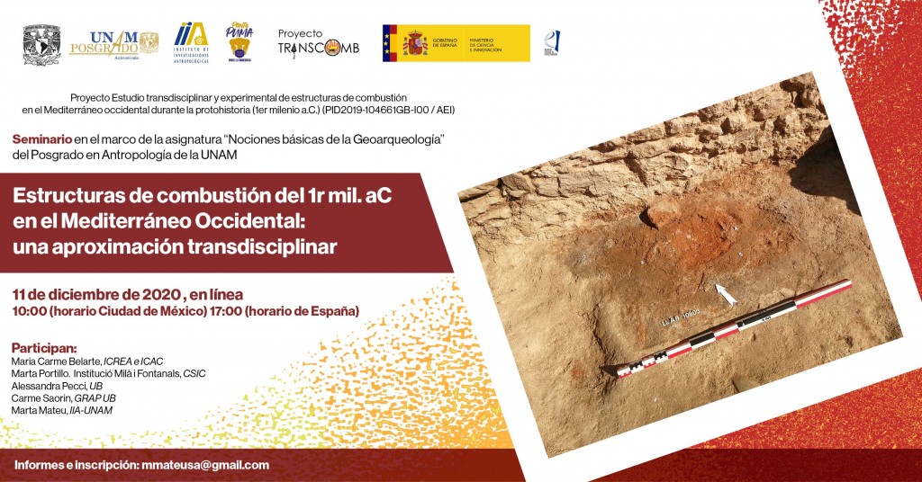 estructuras de combustión