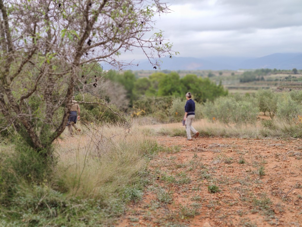 Prospecció arqueològica a peu, al terme de Vallmoll (Alt Camp). Foto © ICAC