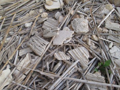 Restes constructives en una construcció recent enderrocada. Imatge: Belarte i Pastor (2021).