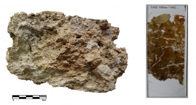 Fragment de sostre de fang del jaciment de Sant Jaume-Mas d’en Serrà (Alcanar, Montsià).