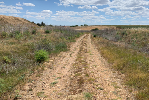 Carrilada perteneciente a una cañada trashumante y camino real al norte de la localidad de Ardón (León), con dirección N-S. En este tramo el estado de conservación de la traza viaria es medio. Autor: Martínez Fernández, 2021.