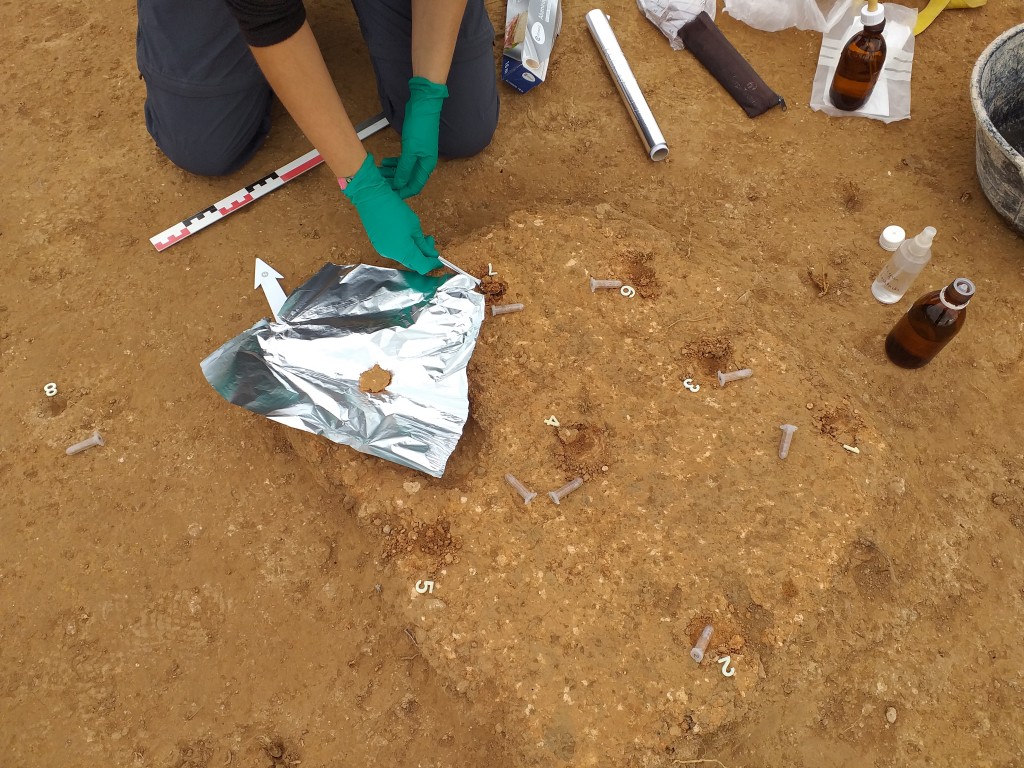 Castellet de Banyoles. Recollida de mostres per a anàlisis interdisciplinàries sobre una llar de foc del ja-ciment ibèric del Castellet de Banyoles (Tivissa, Ribera d’Ebre). Fotografia del Projecte TRANSCOMB (ICAC). Fotografia: Projecte TRANSCOMB, liderat per Maria Carme Belarte (ICREA-ICAC).