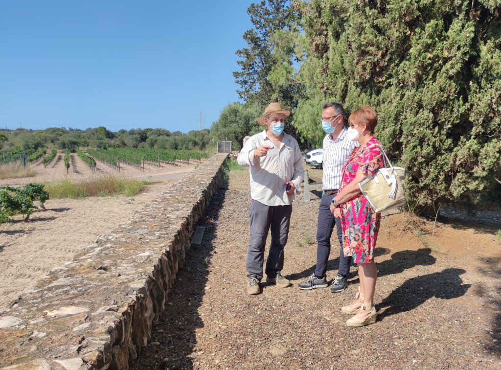 Josep Maria Macias (ICAC) ha acompanyat l’alcalde de Constantí, Òscar Sánchez, i la regidora de Cultura, Dolors Fortuny, en una visita al jaciment de Mas dels Frares. Foto: ICAC.