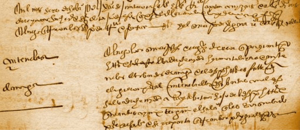 Mid 16th century Council manuscript with sentinel provisions. Luckily for us, many local archives have been fully transcribed and digitalised!