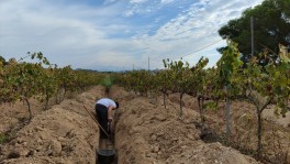 nulles_mas-cap-ferro_belarte-2021-2