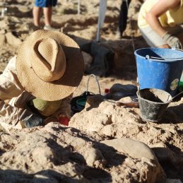 Mas dels Frares 2022 (b)