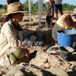 Mas dels Frares 2022 (c)