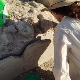 Mas dels Frares 2022 (d)