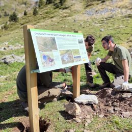 Presentacio ArqueoPirenaia (c)