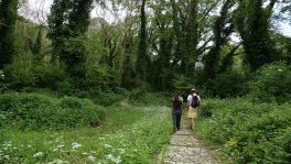 Zagori_Aristi_path_GIAP_2023