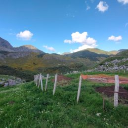 2a trobada cultur monts_giap_juny 2024_sortida de camp (1)