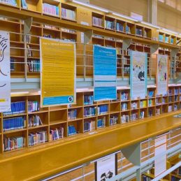 Exposicio Arqueosexisme 2024_fotos CRAI (6)