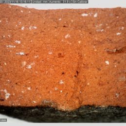 Tesi Itziar Gutierrez_mostra ceramica 1 (1082-5.1)