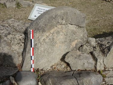 Disseny sense títol - 1