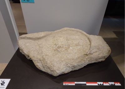 estada corrales montpellier mirmed 2024 (5)