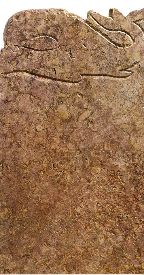 Tarraco: pedra a pedra