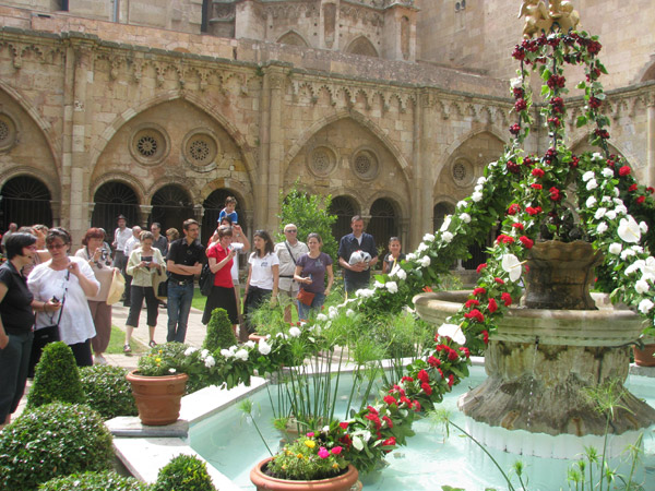 Visita catedral Tarragona