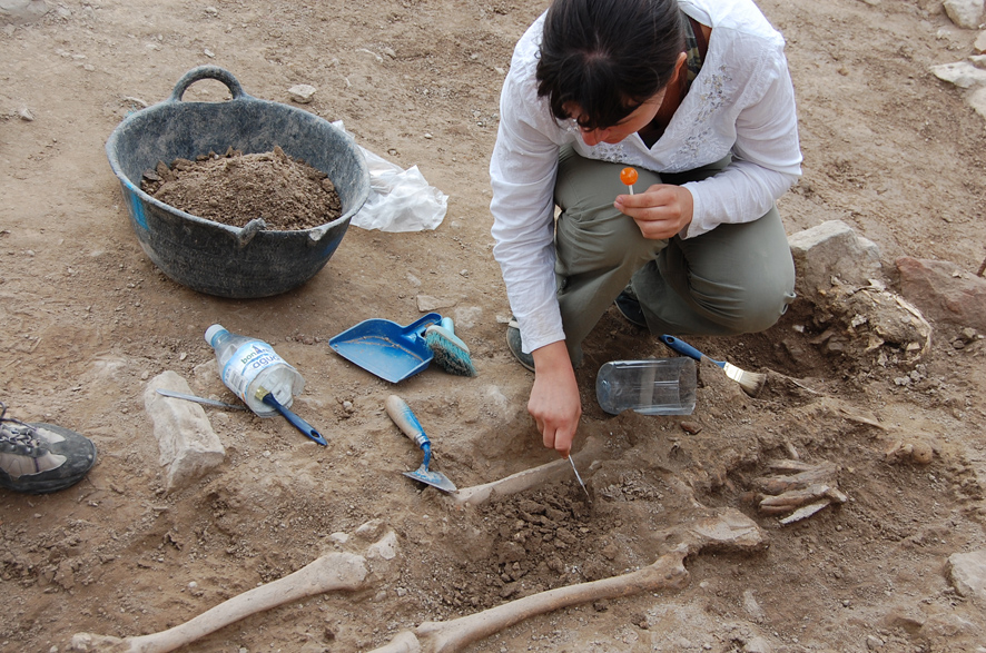 Curs de Guissona Curs de Guissona